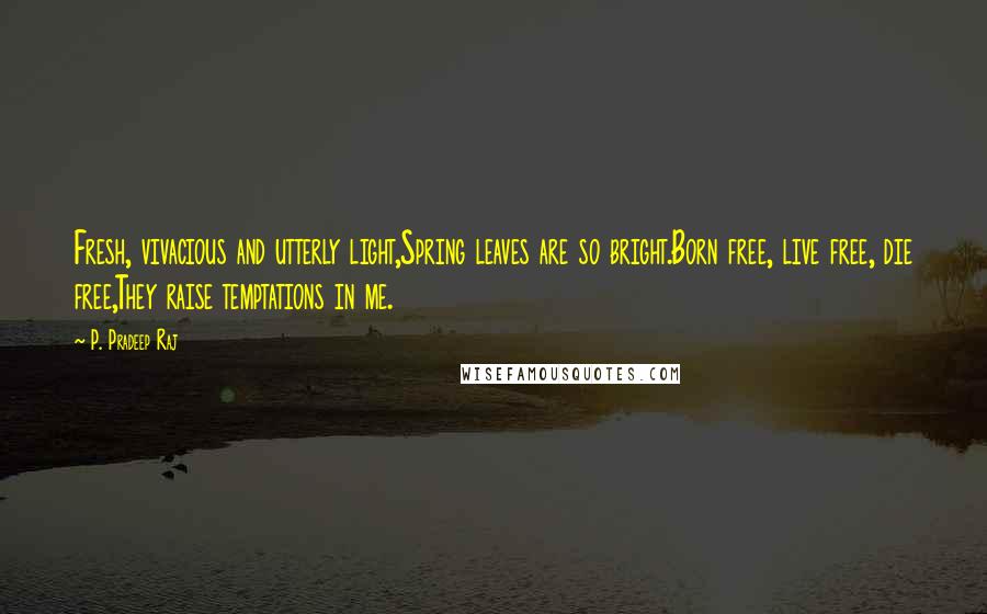 P. Pradeep Raj Quotes: Fresh, vivacious and utterly light,Spring leaves are so bright.Born free, live free, die free,They raise temptations in me.