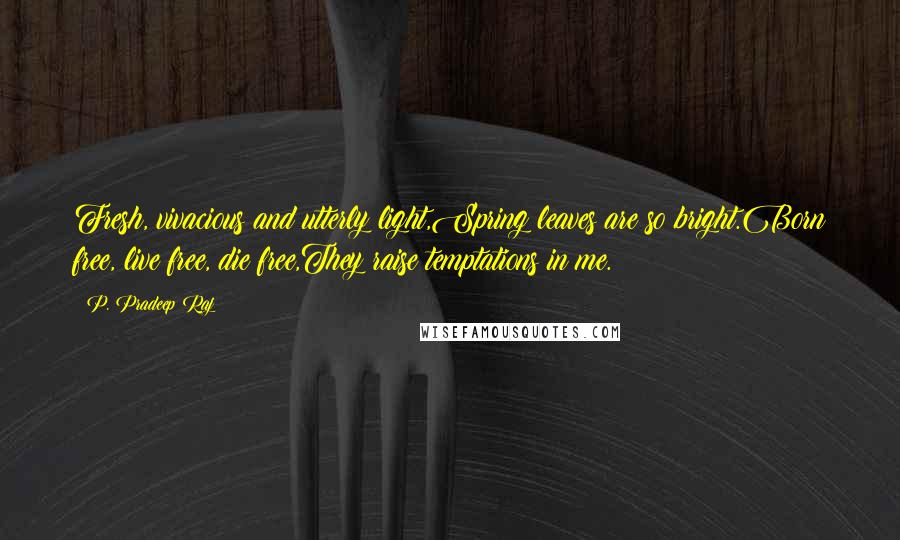 P. Pradeep Raj Quotes: Fresh, vivacious and utterly light,Spring leaves are so bright.Born free, live free, die free,They raise temptations in me.