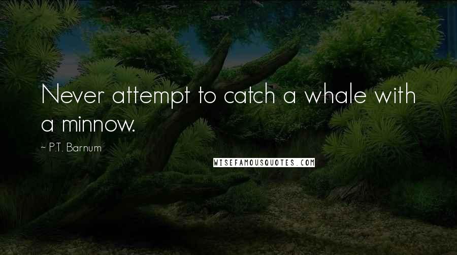 P.T. Barnum Quotes: Never attempt to catch a whale with a minnow.