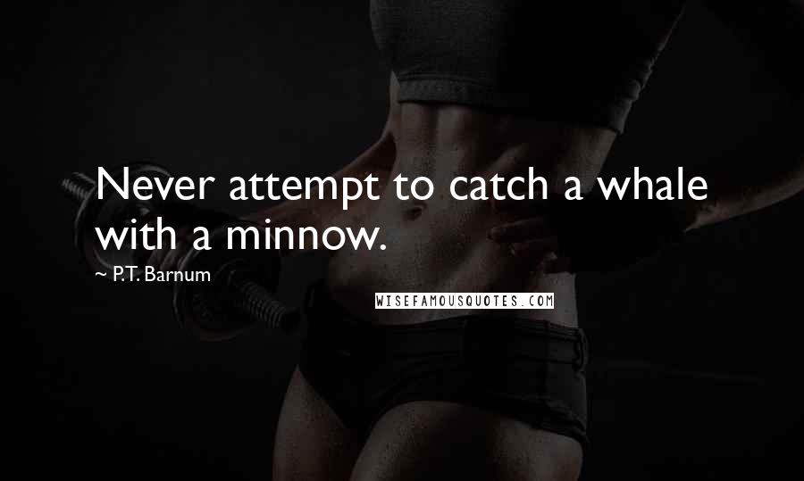 P.T. Barnum Quotes: Never attempt to catch a whale with a minnow.