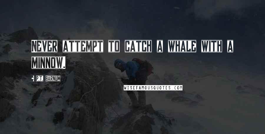 P.T. Barnum Quotes: Never attempt to catch a whale with a minnow.