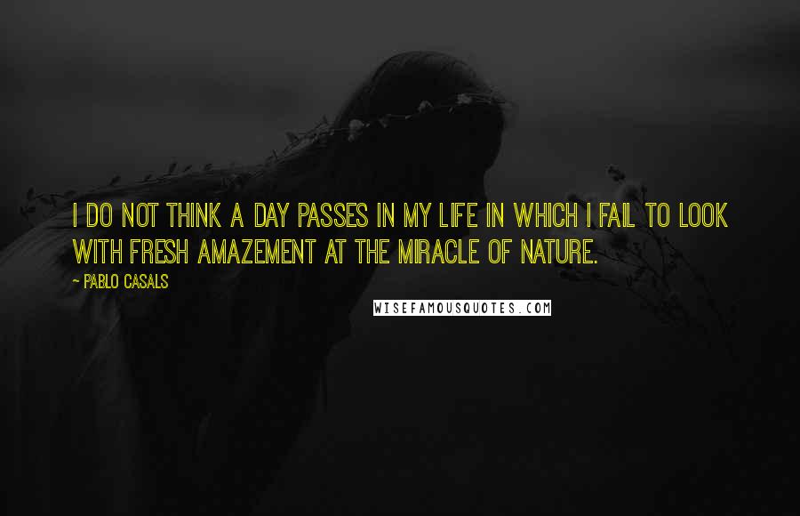 Pablo Casals Quotes: I do not think a day passes in my life in which I fail to look with fresh amazement at the miracle of nature.