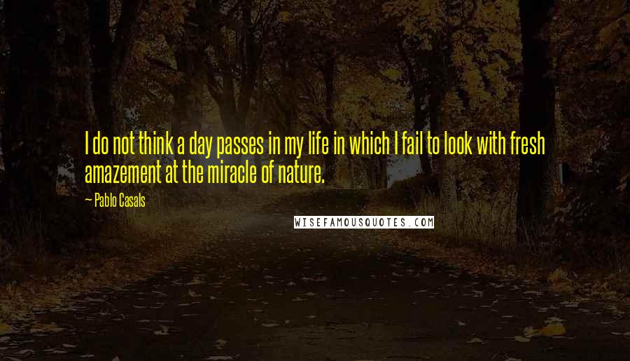 Pablo Casals Quotes: I do not think a day passes in my life in which I fail to look with fresh amazement at the miracle of nature.