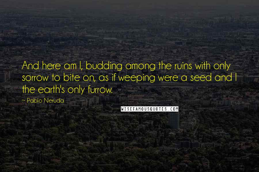 Pablo Neruda Quotes: And here am I, budding among the ruins with only sorrow to bite on, as if weeping were a seed and I the earth's only furrow.