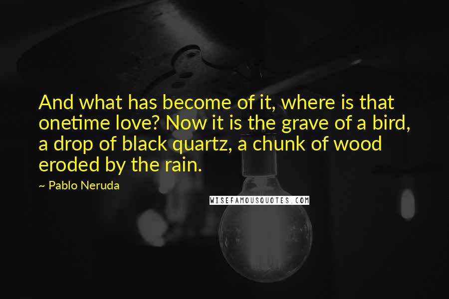 Pablo Neruda Quotes: And what has become of it, where is that onetime love? Now it is the grave of a bird, a drop of black quartz, a chunk of wood eroded by the rain.