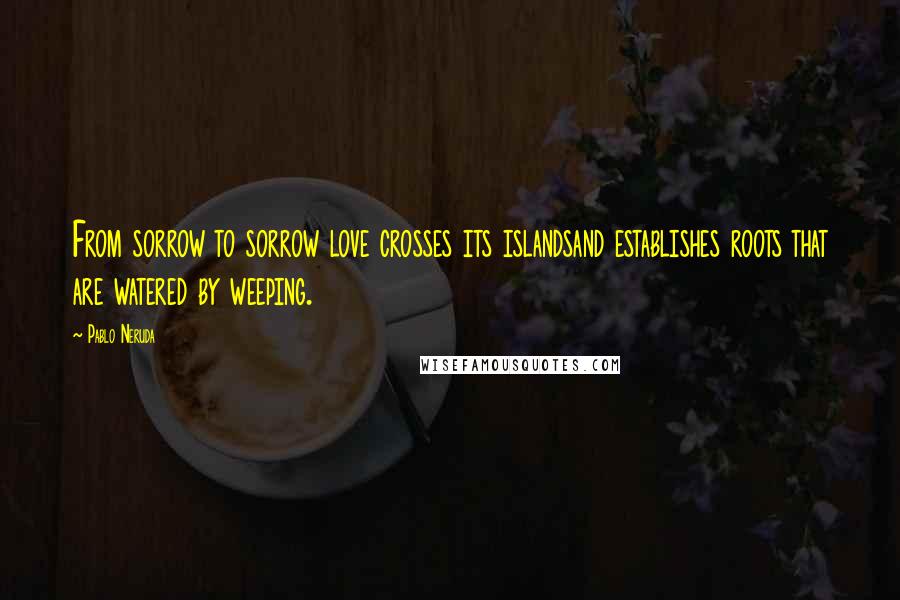 Pablo Neruda Quotes: From sorrow to sorrow love crosses its islandsand establishes roots that are watered by weeping.