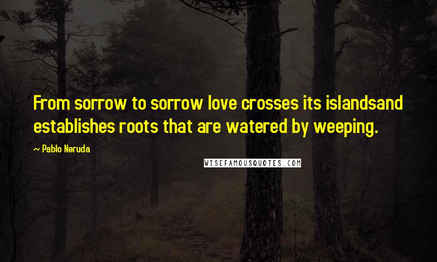 Pablo Neruda Quotes: From sorrow to sorrow love crosses its islandsand establishes roots that are watered by weeping.