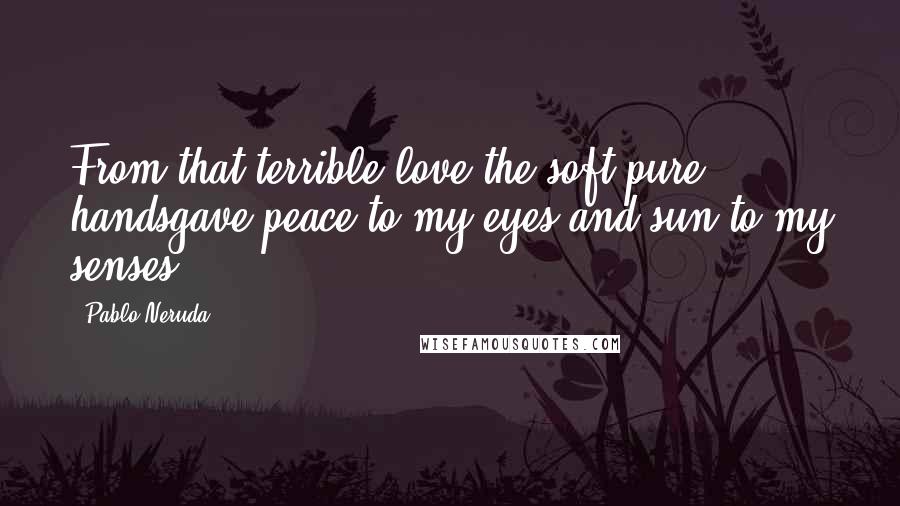 Pablo Neruda Quotes: From that terrible love the soft pure handsgave peace to my eyes and sun to my senses.