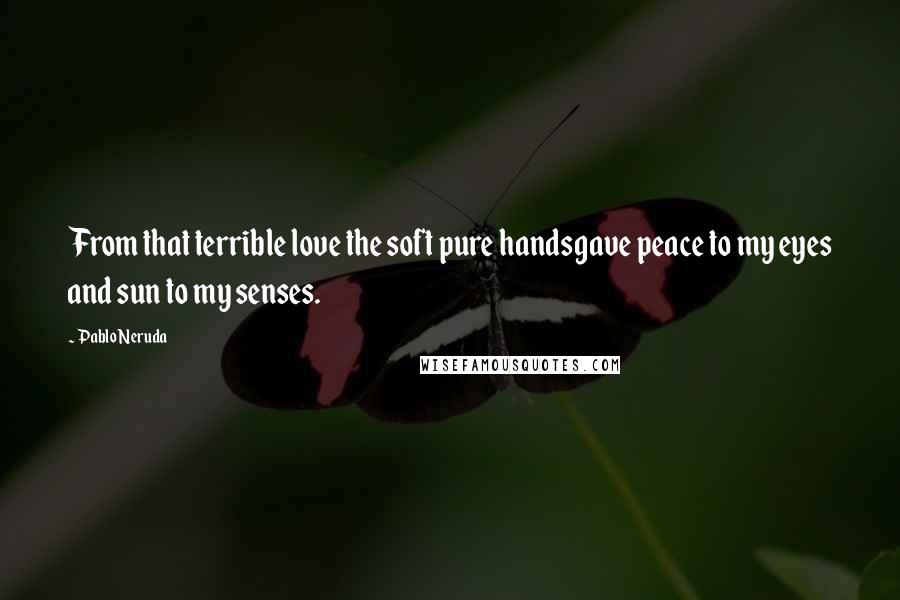 Pablo Neruda Quotes: From that terrible love the soft pure handsgave peace to my eyes and sun to my senses.