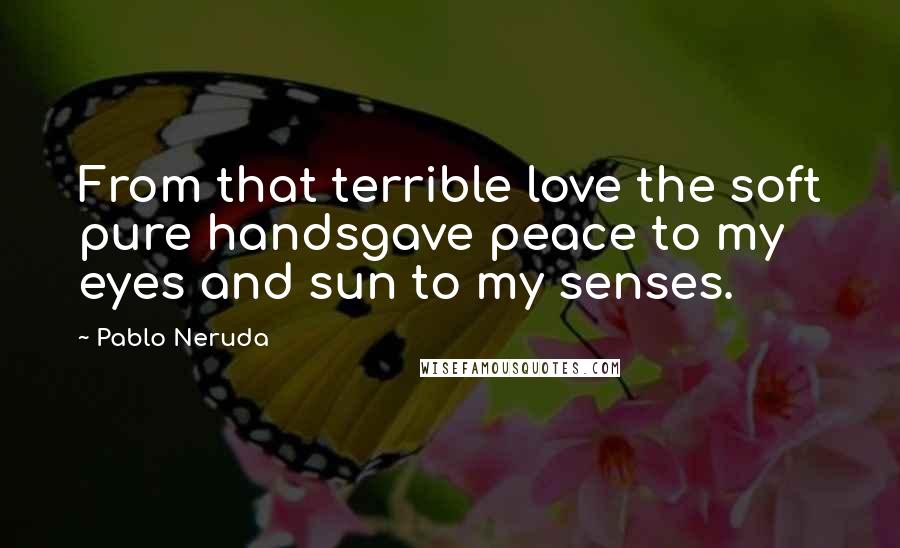 Pablo Neruda Quotes: From that terrible love the soft pure handsgave peace to my eyes and sun to my senses.