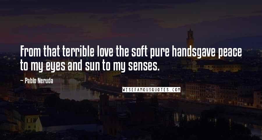 Pablo Neruda Quotes: From that terrible love the soft pure handsgave peace to my eyes and sun to my senses.