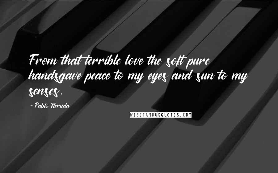 Pablo Neruda Quotes: From that terrible love the soft pure handsgave peace to my eyes and sun to my senses.