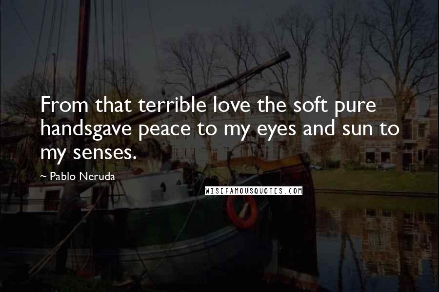 Pablo Neruda Quotes: From that terrible love the soft pure handsgave peace to my eyes and sun to my senses.