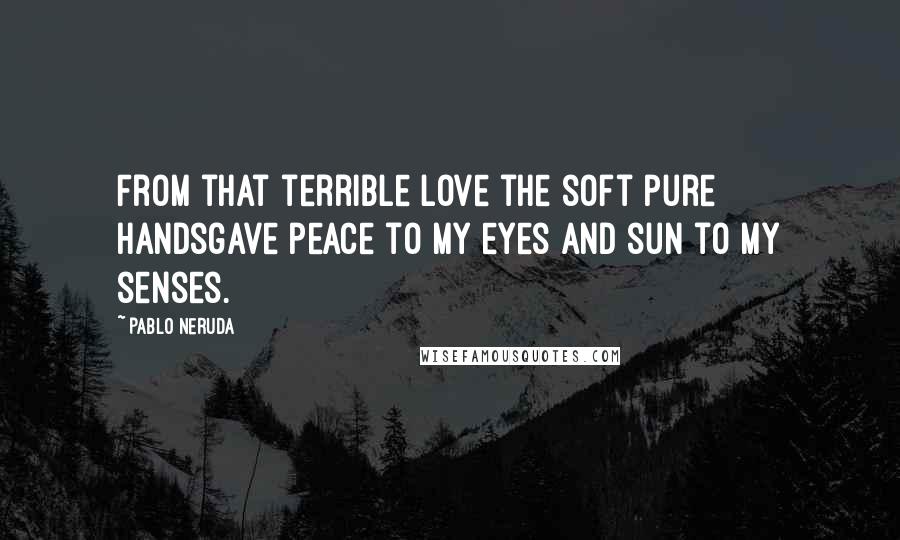 Pablo Neruda Quotes: From that terrible love the soft pure handsgave peace to my eyes and sun to my senses.