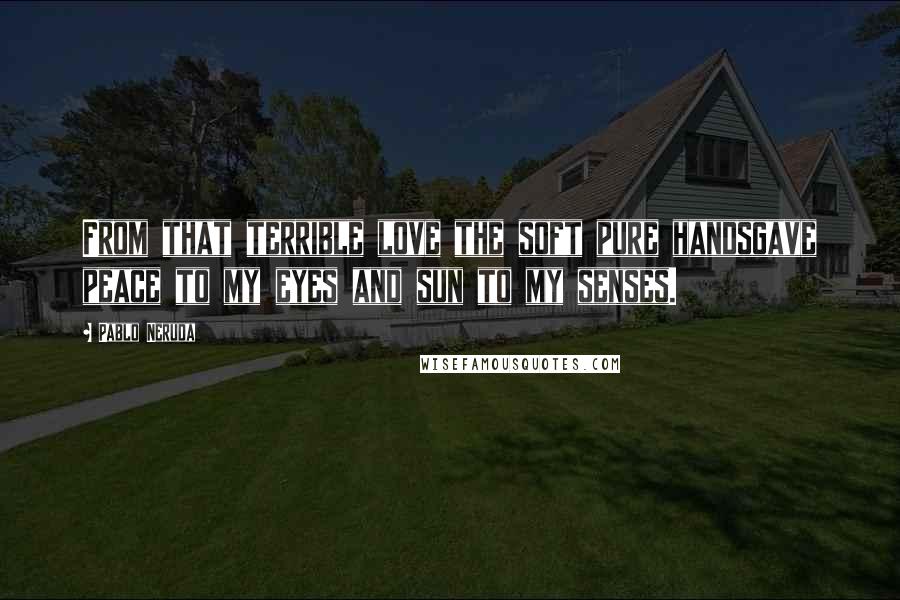 Pablo Neruda Quotes: From that terrible love the soft pure handsgave peace to my eyes and sun to my senses.