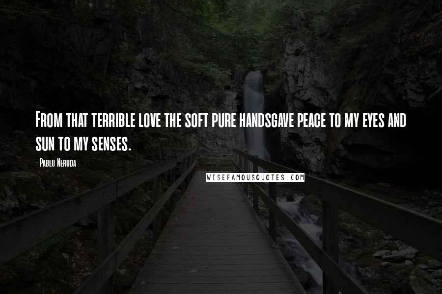 Pablo Neruda Quotes: From that terrible love the soft pure handsgave peace to my eyes and sun to my senses.