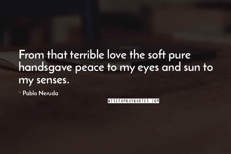 Pablo Neruda Quotes: From that terrible love the soft pure handsgave peace to my eyes and sun to my senses.