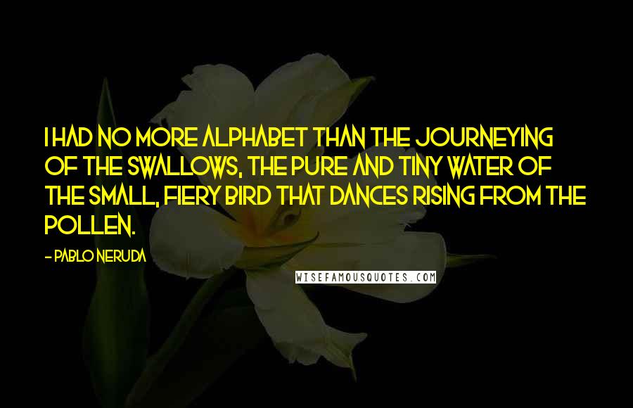 Pablo Neruda Quotes: I had no more alphabet than the journeying of the swallows, the pure and tiny water of the small, fiery bird that dances rising from the pollen.