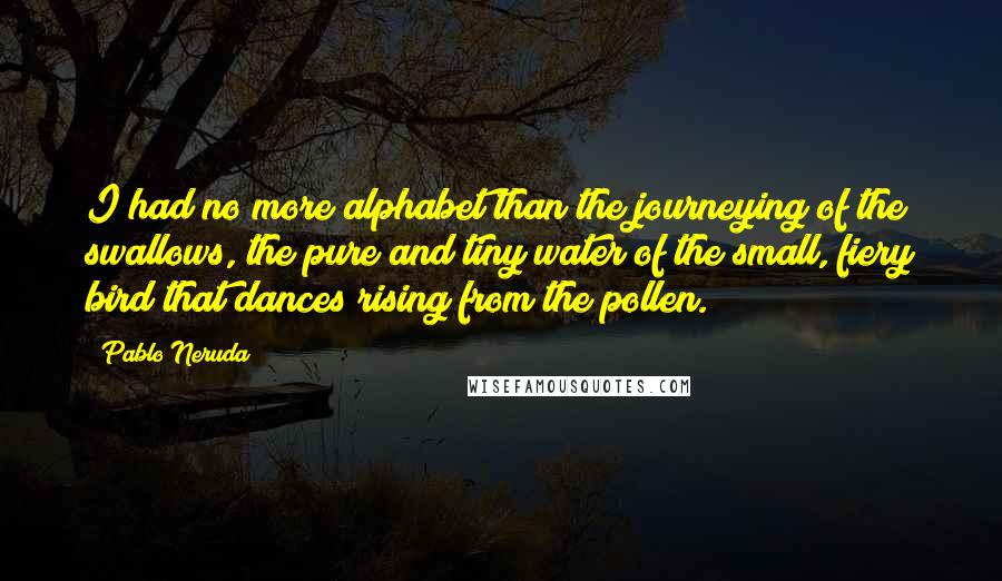 Pablo Neruda Quotes: I had no more alphabet than the journeying of the swallows, the pure and tiny water of the small, fiery bird that dances rising from the pollen.