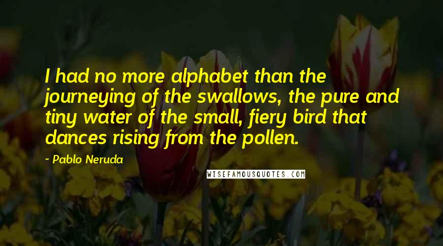 Pablo Neruda Quotes: I had no more alphabet than the journeying of the swallows, the pure and tiny water of the small, fiery bird that dances rising from the pollen.