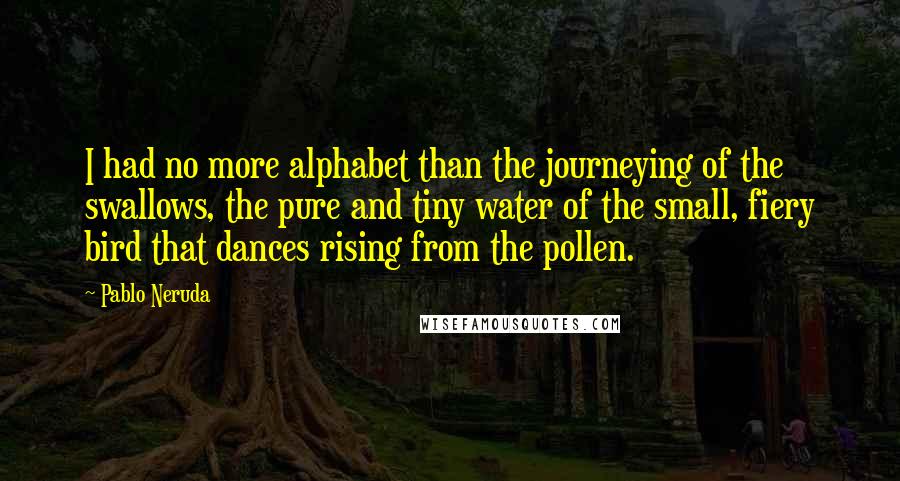 Pablo Neruda Quotes: I had no more alphabet than the journeying of the swallows, the pure and tiny water of the small, fiery bird that dances rising from the pollen.