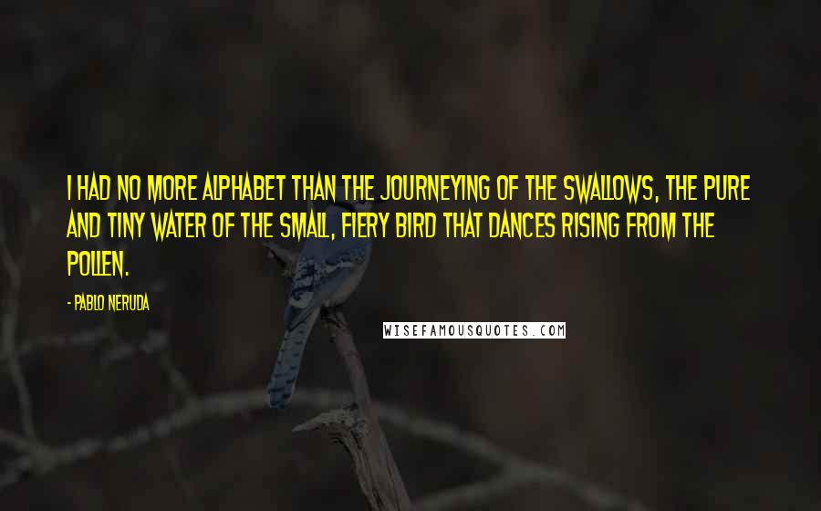 Pablo Neruda Quotes: I had no more alphabet than the journeying of the swallows, the pure and tiny water of the small, fiery bird that dances rising from the pollen.