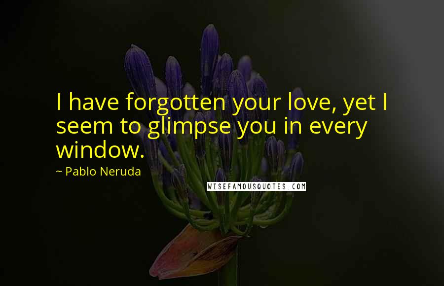 Pablo Neruda Quotes: I have forgotten your love, yet I seem to glimpse you in every window.