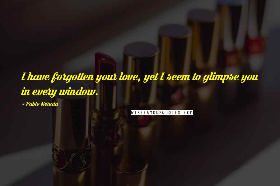 Pablo Neruda Quotes: I have forgotten your love, yet I seem to glimpse you in every window.