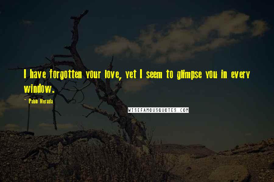 Pablo Neruda Quotes: I have forgotten your love, yet I seem to glimpse you in every window.