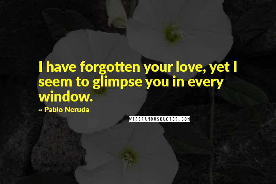 Pablo Neruda Quotes: I have forgotten your love, yet I seem to glimpse you in every window.