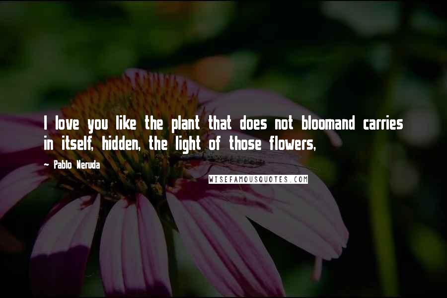 Pablo Neruda Quotes: I love you like the plant that does not bloomand carries in itself, hidden, the light of those flowers,