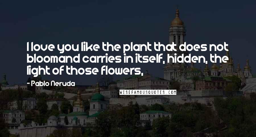 Pablo Neruda Quotes: I love you like the plant that does not bloomand carries in itself, hidden, the light of those flowers,