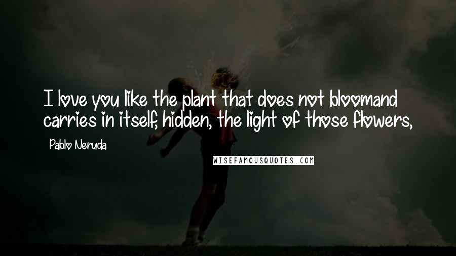 Pablo Neruda Quotes: I love you like the plant that does not bloomand carries in itself, hidden, the light of those flowers,