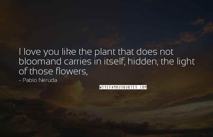 Pablo Neruda Quotes: I love you like the plant that does not bloomand carries in itself, hidden, the light of those flowers,