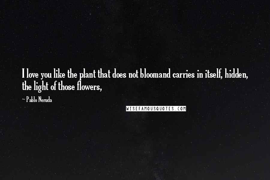 Pablo Neruda Quotes: I love you like the plant that does not bloomand carries in itself, hidden, the light of those flowers,