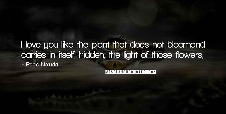 Pablo Neruda Quotes: I love you like the plant that does not bloomand carries in itself, hidden, the light of those flowers,