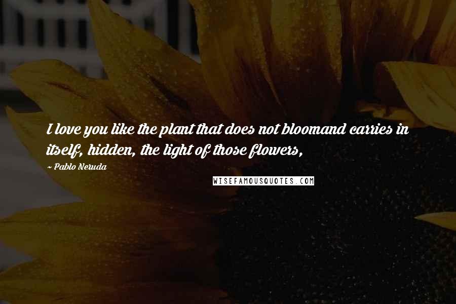 Pablo Neruda Quotes: I love you like the plant that does not bloomand carries in itself, hidden, the light of those flowers,