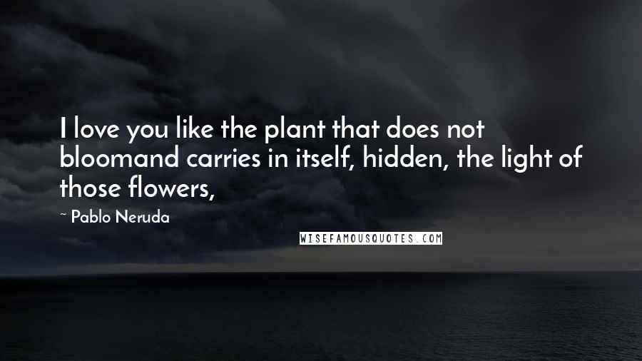 Pablo Neruda Quotes: I love you like the plant that does not bloomand carries in itself, hidden, the light of those flowers,