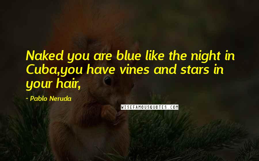 Pablo Neruda Quotes: Naked you are blue like the night in Cuba,you have vines and stars in your hair,