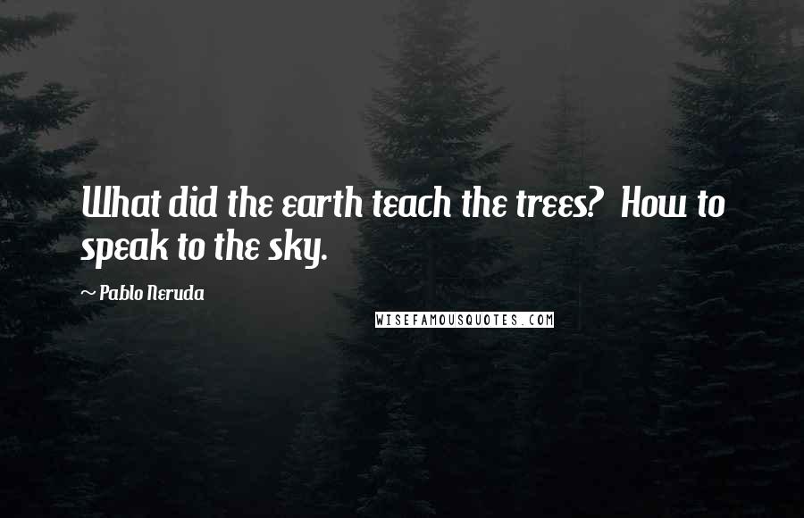 Pablo Neruda Quotes: What did the earth teach the trees?  How to speak to the sky.