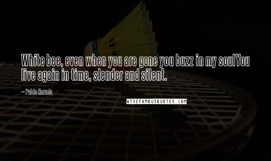 Pablo Neruda Quotes: White bee, even when you are gone you buzz in my soulYou live again in time, slender and silent.