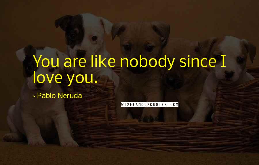 Pablo Neruda Quotes: You are like nobody since I love you.