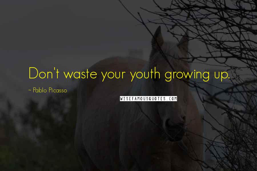 Pablo Picasso Quotes: Don't waste your youth growing up.