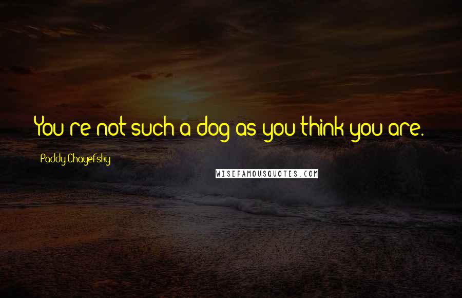 Paddy Chayefsky Quotes: You're not such a dog as you think you are.