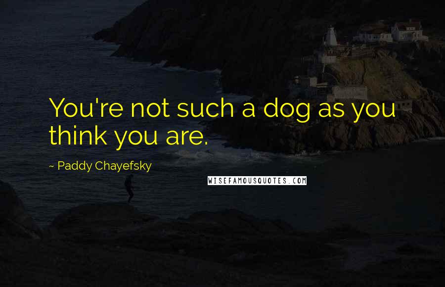 Paddy Chayefsky Quotes: You're not such a dog as you think you are.