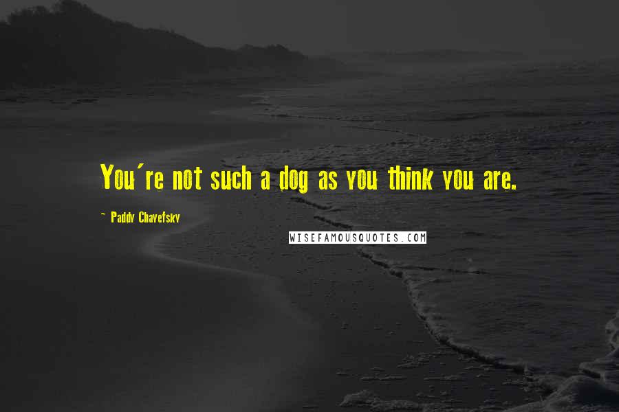 Paddy Chayefsky Quotes: You're not such a dog as you think you are.