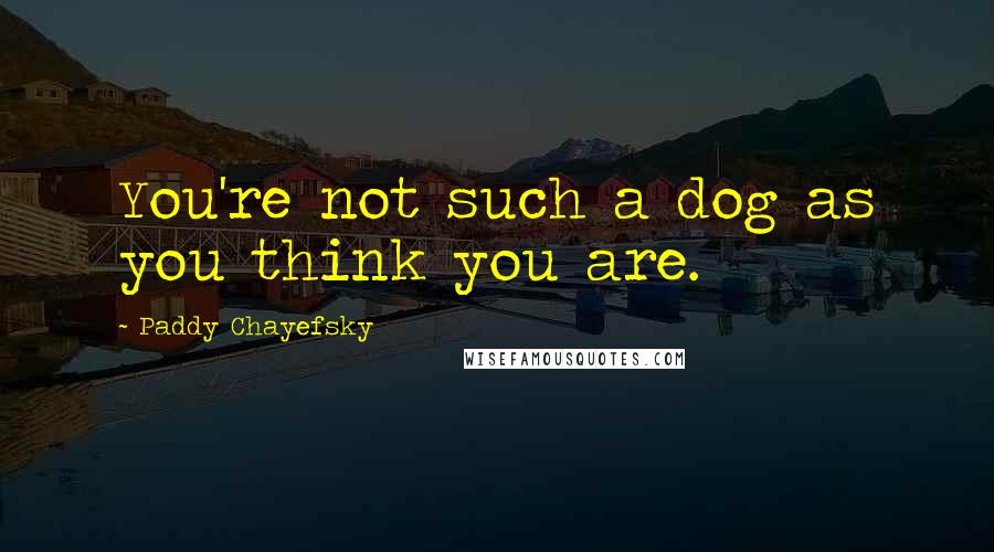 Paddy Chayefsky Quotes: You're not such a dog as you think you are.