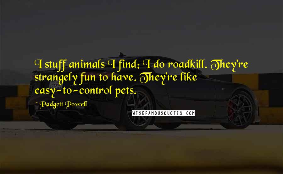 Padgett Powell Quotes: I stuff animals I find; I do roadkill. They're strangely fun to have. They're like easy-to-control pets.