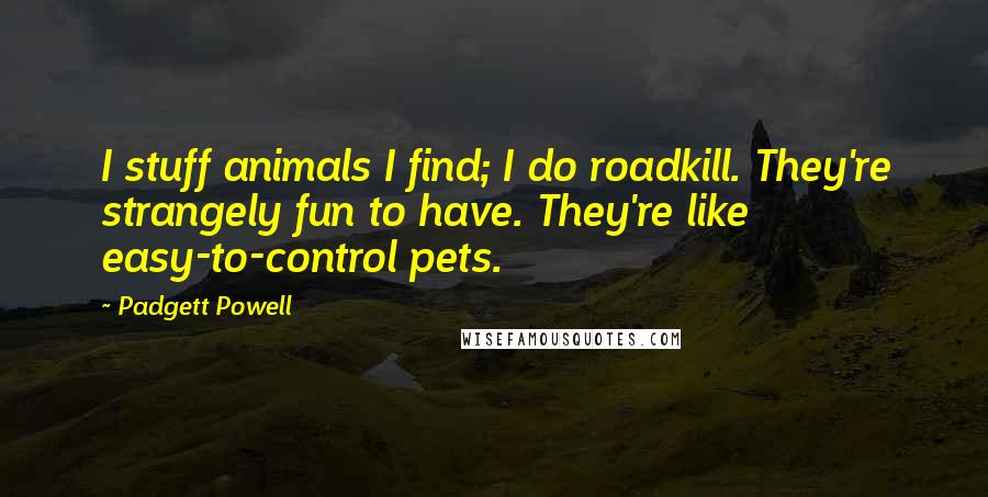 Padgett Powell Quotes: I stuff animals I find; I do roadkill. They're strangely fun to have. They're like easy-to-control pets.