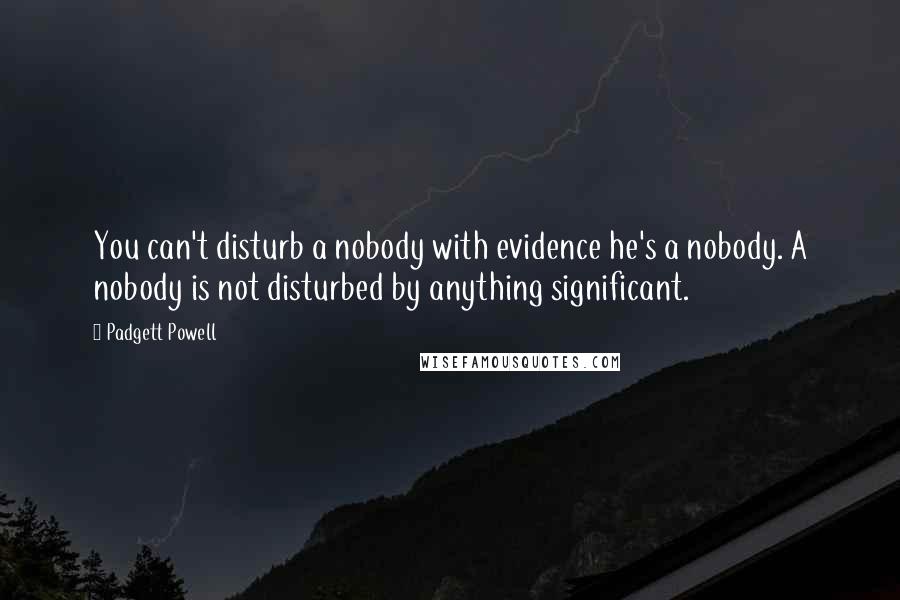 Padgett Powell Quotes: You can't disturb a nobody with evidence he's a nobody. A nobody is not disturbed by anything significant.